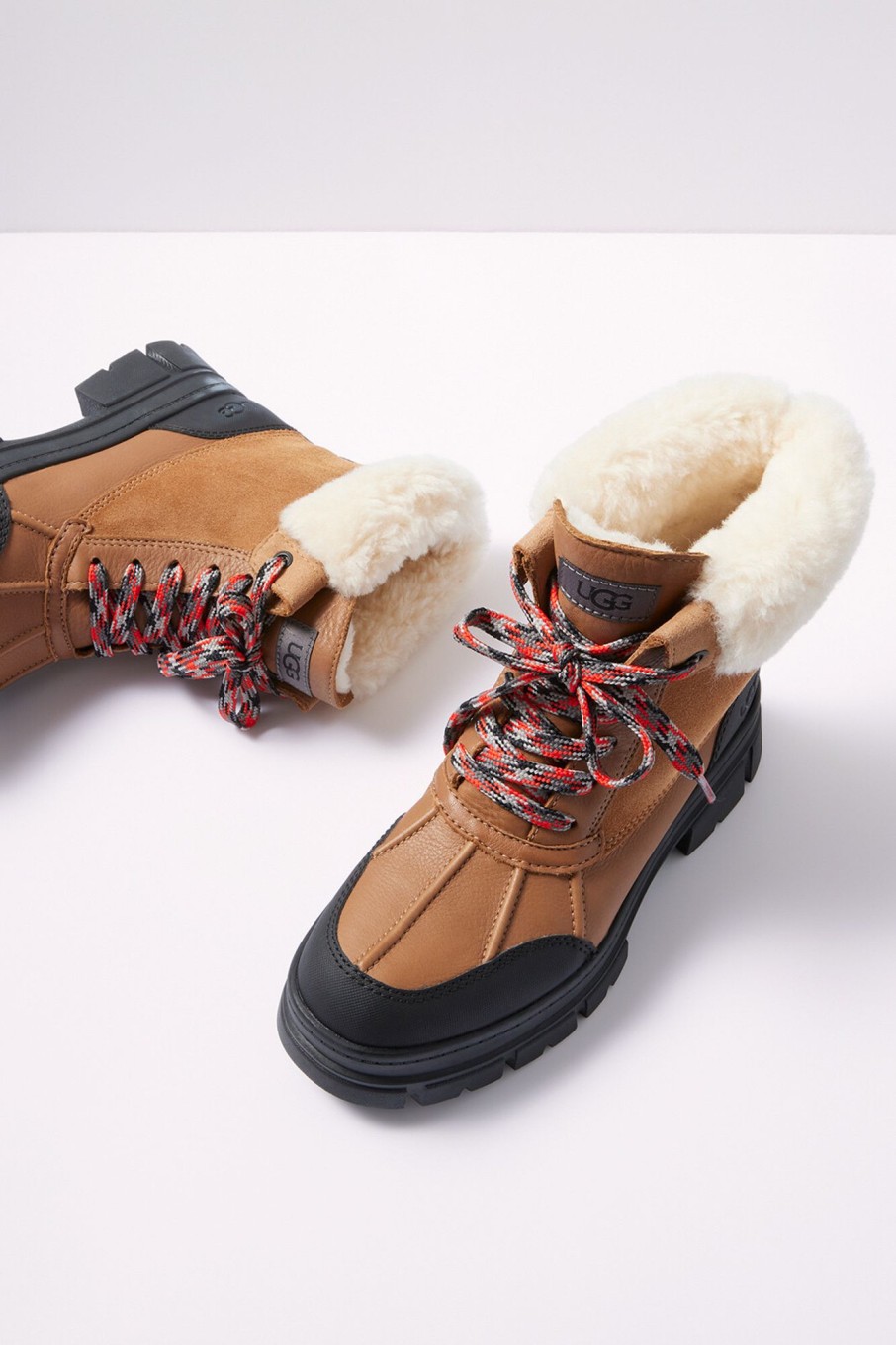 Shoes & Accessories UGG | Ashton Addie