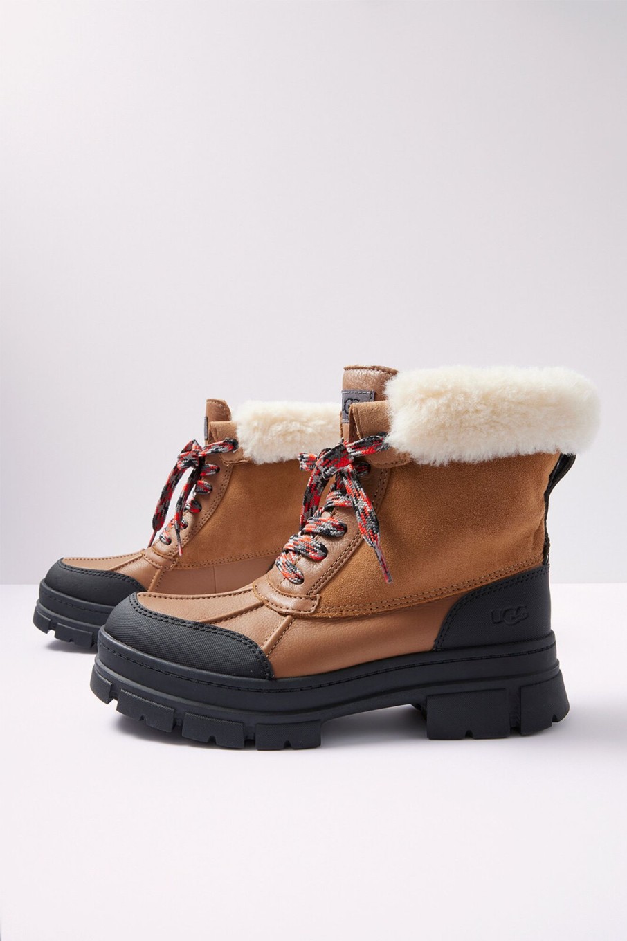 Shoes & Accessories UGG | Ashton Addie