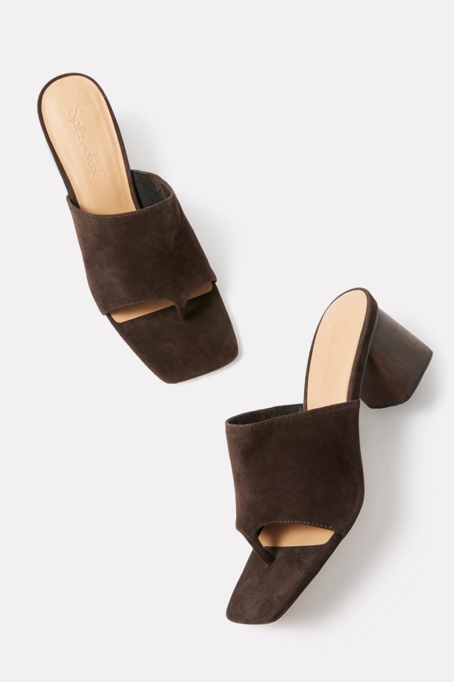 Shoes & Accessories SPLENDID FOOTWEAR | Karim Mule