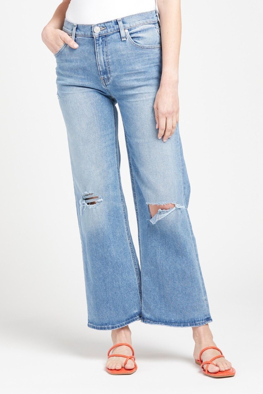 Clothing HUDSON | Rosie High Rise Wide Leg Ankle Jean